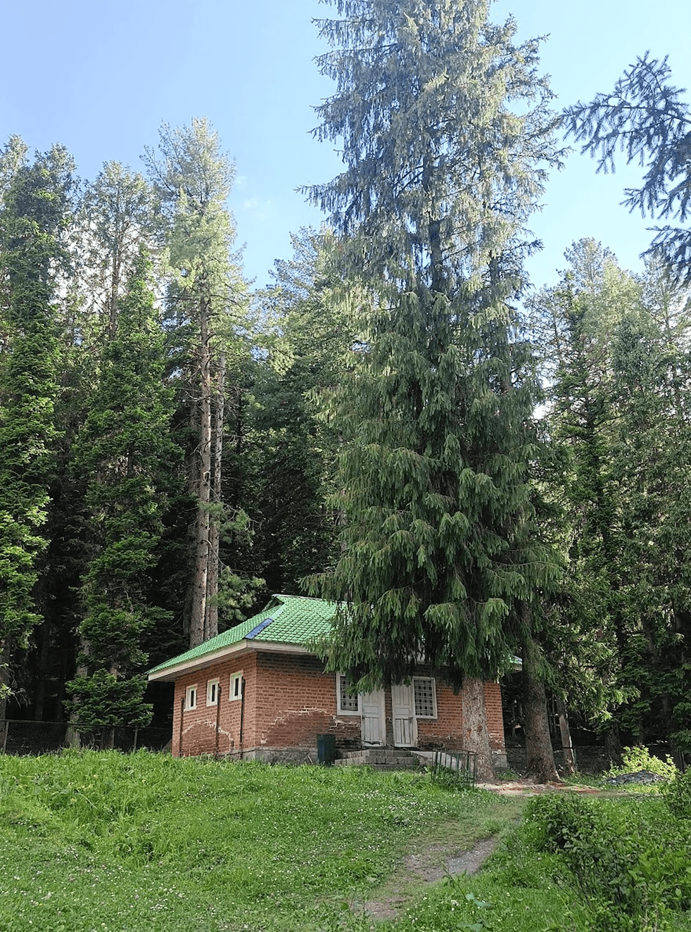 Forest cabin with green roof